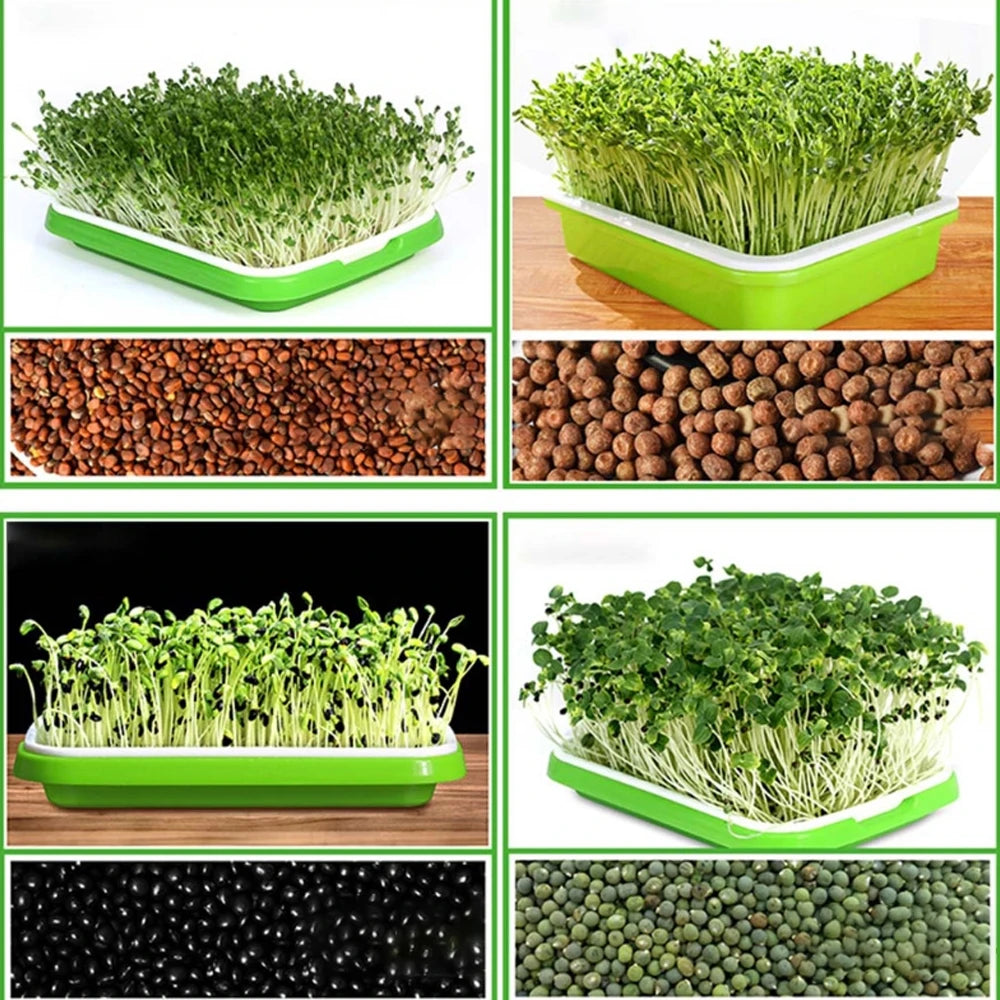 Seed Sprouter Tray BPA Free PP Soil-Free Large Capacity Healthy with Cover Seedling Sprout Plate Hydroponic Plant Pots
