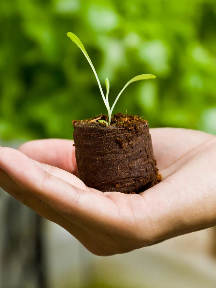 Nursery Nutrition Block 30/50pcs 30mm Jiffy Peat Pellets Seedling Soil Block Maker Starting Plugs Seeds Starter Garden Supplies