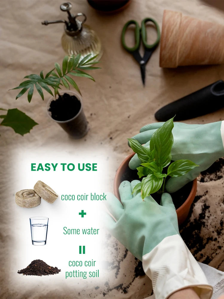 Nursery Nutrition Block 30/50pcs 30mm Jiffy Peat Pellets Seedling Soil Block Maker Starting Plugs Seeds Starter Garden Supplies