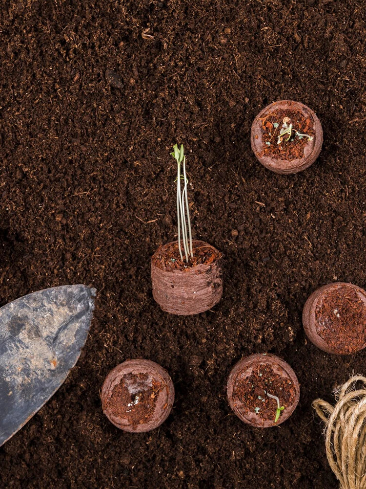 Nursery Nutrition Block 30/50pcs 30mm Jiffy Peat Pellets Seedling Soil Block Maker Starting Plugs Seeds Starter Garden Supplies