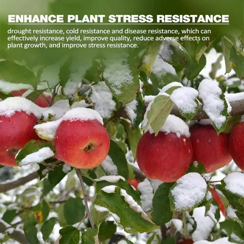 Organic Plant Fertilizer Plant Stress Resistance Soil Activator Water Soluble Flower Fertilizer & Soil Activator For Root Growth