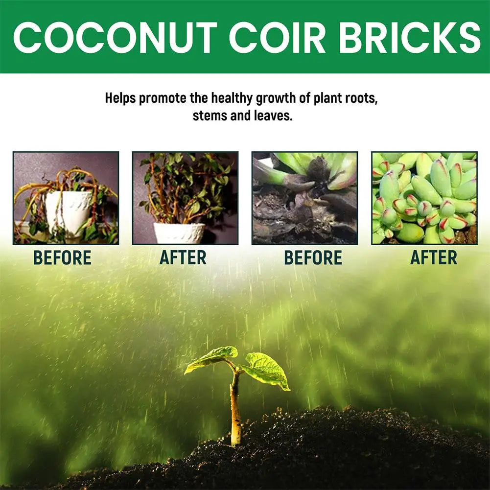 Reptile Coconut Soil Coir Pressed Coconut Fiber Substrate Lizard Tortoise Reptile Bedding Soil Reptile Terrarium Bottom Supplies