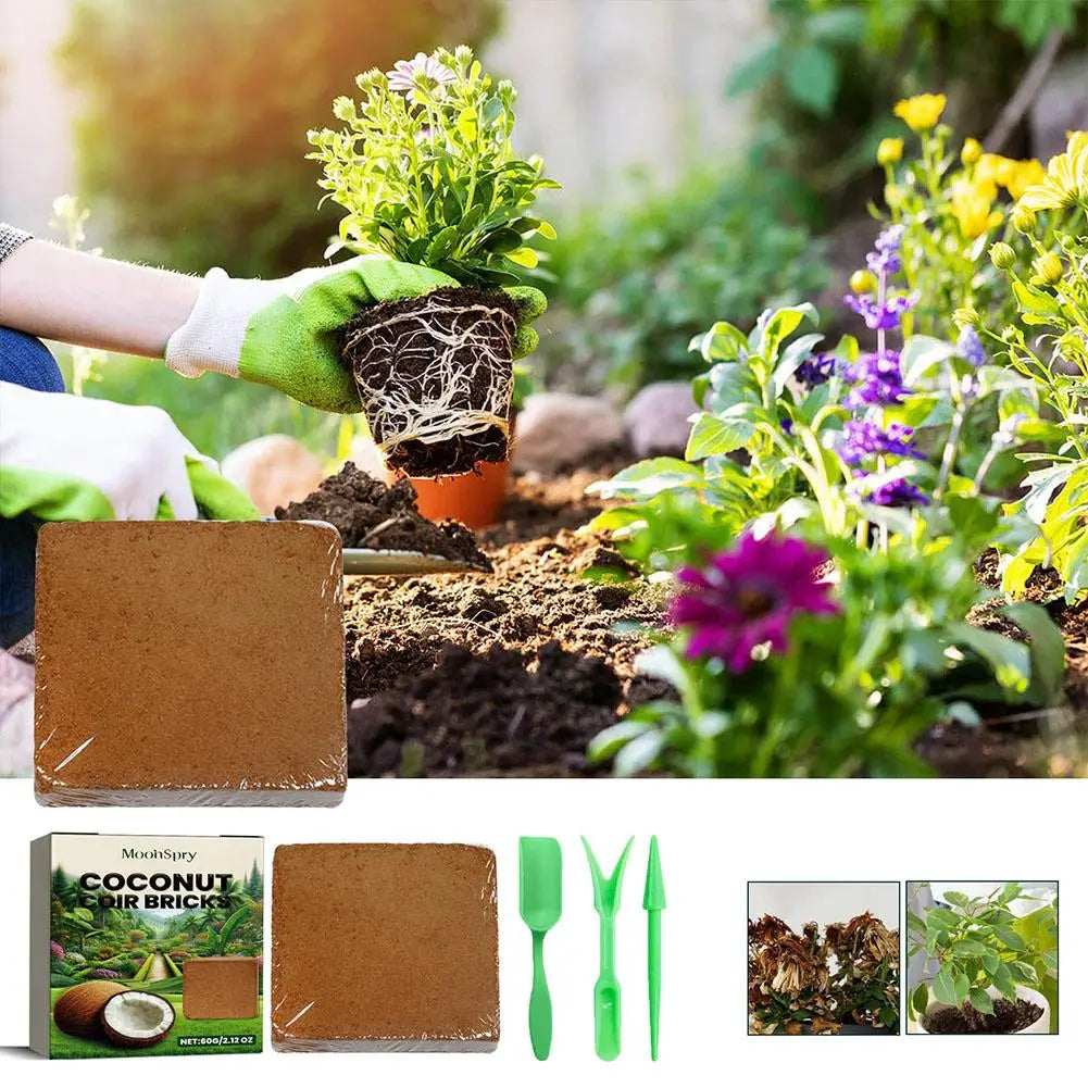 Reptile Coconut Soil Coir Pressed Coconut Fiber Substrate Lizard Tortoise Reptile Bedding Soil Reptile Terrarium Bottom Supplies